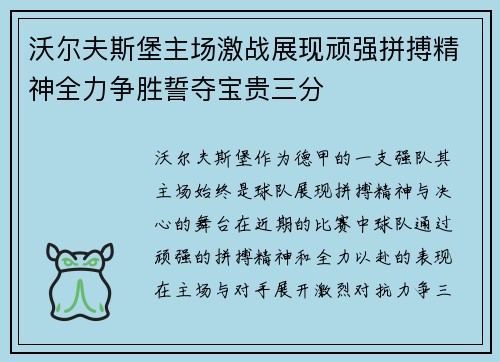 沃尔夫斯堡主场激战展现顽强拼搏精神全力争胜誓夺宝贵三分