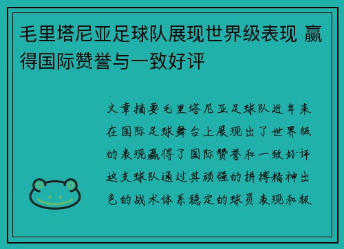 毛里塔尼亚足球队展现世界级表现 赢得国际赞誉与一致好评