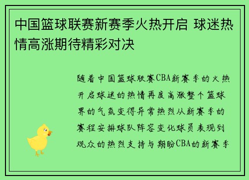 中国篮球联赛新赛季火热开启 球迷热情高涨期待精彩对决