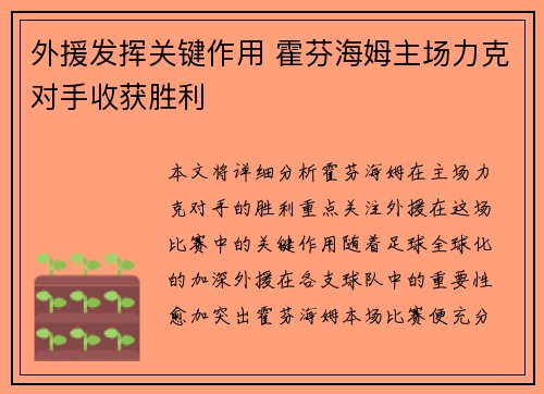 外援发挥关键作用 霍芬海姆主场力克对手收获胜利